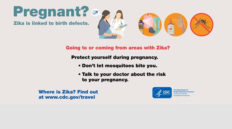 Zika Pregnancy Warning News ColorMag2